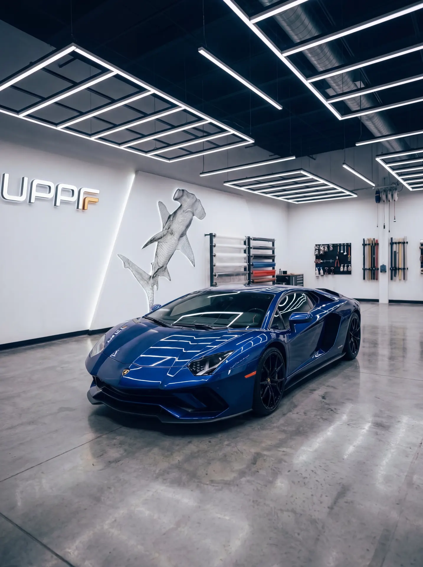 Vinyl wrap versus paint
